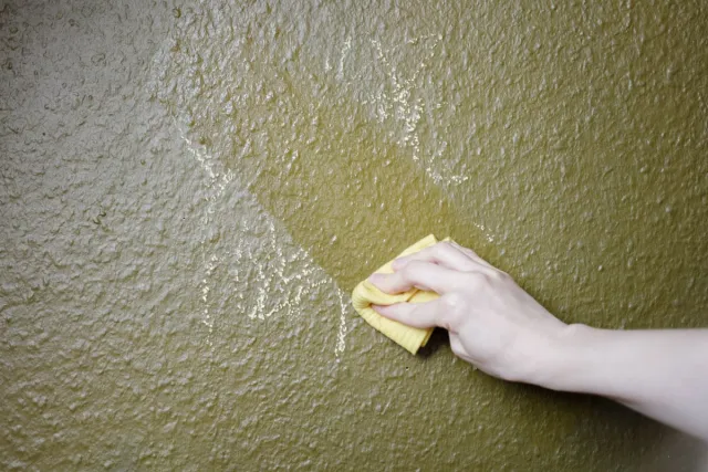 washable wall Paint EPODEX washable wall Paint EPODEX