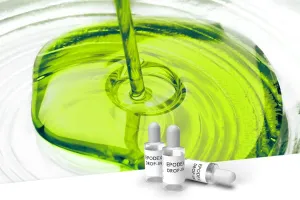 Epoxy Resin transparent jewellery lime